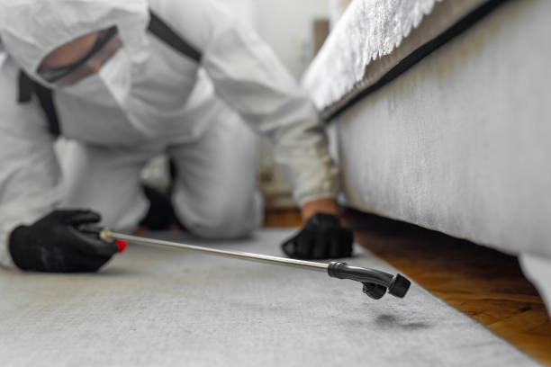 Professional Termite Control technician working in Williamston, NC