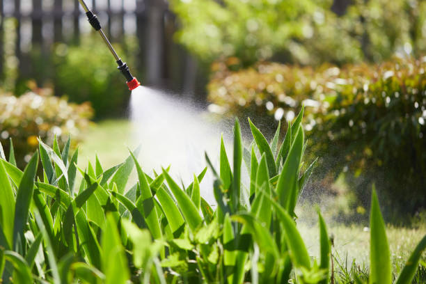 24/7 Emergency Termite Control experts in Williamston, NC