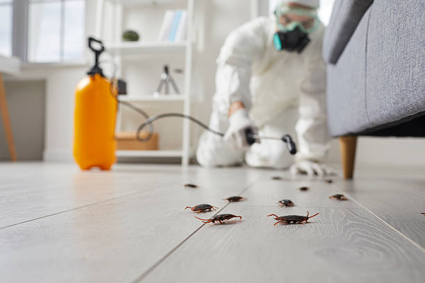 Trusted Termite Control service in Williamston, NC - Nex Pest Control