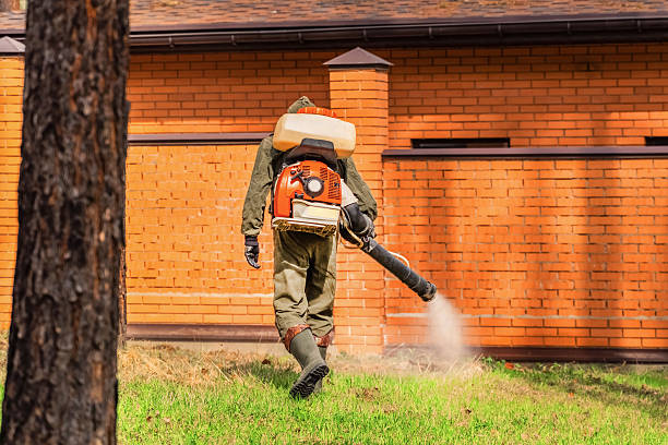 Trusted Mosquito Control service in Williamston, NC - Nex Pest Control